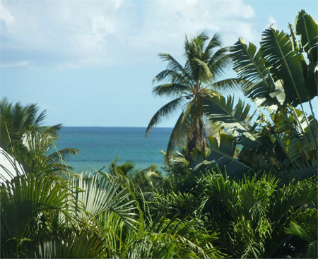 Expertise comptable Guadeloupe, Baie-Mahault, Jarry